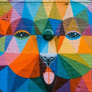 Widget Gallery 2 - Geezify